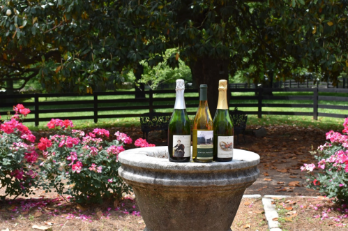 Three bottles of sparkling wine displayed on a stone pedestal, surrounded by blooming pink roses and greenery.