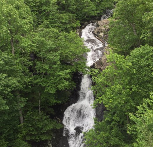 A cascading waterfall surrounded by lush green trees and rocky terrain.