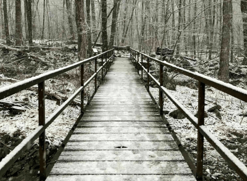A snow-covered wooden bridge leads through a quiet, snowy forest with bare trees.