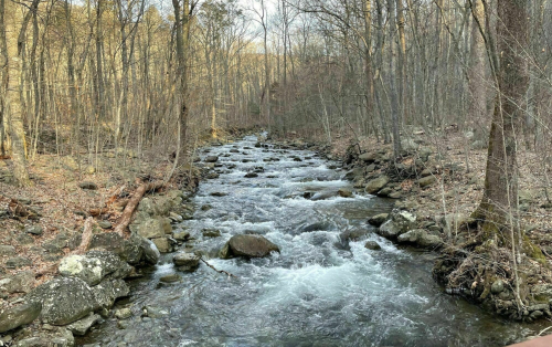 A serene river flows through a wooded area, surrounded by rocks and bare trees in early spring.