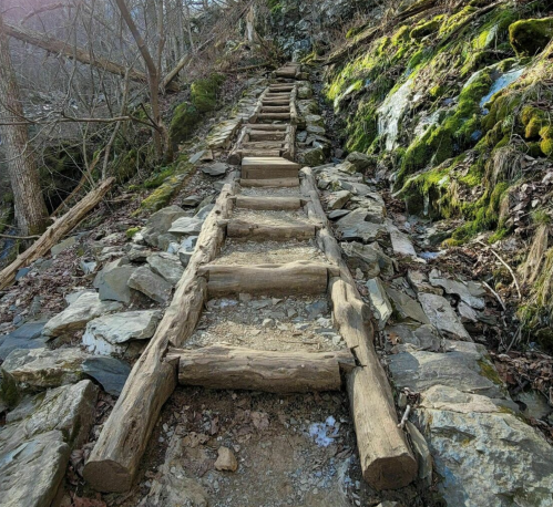 A narrow, rocky trail with wooden steps leading up through a forested area. Moss-covered stones line the path.