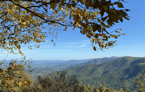 A scenic view of rolling mountains and valleys under a clear blue sky, framed by autumn leaves.
