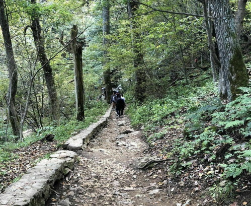 A winding dirt path through a lush green forest, with hikers visible in the distance.