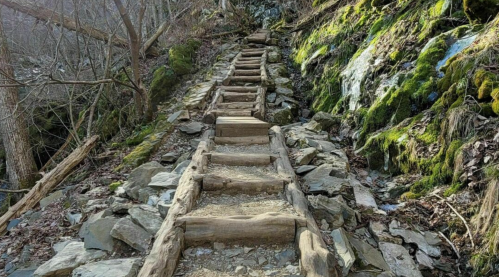 A wooden ladder-like path leads up a rocky, moss-covered hillside surrounded by trees.