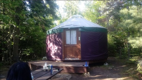 A yurt surrounded by trees, featuring a wooden deck and a door, in a serene outdoor setting.