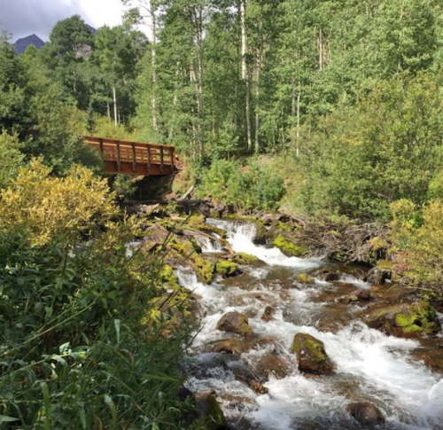 A serene stream flows over rocks, surrounded by lush greenery and a wooden bridge in a tranquil forest setting.