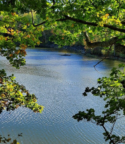 A serene river scene framed by green and autumn-colored leaves, reflecting calm water under a clear sky.