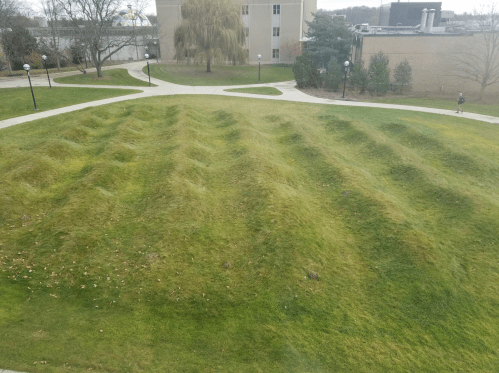 A grassy area with wavy mounds, surrounded by pathways and trees, under a cloudy sky.