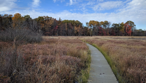 A wooden path winds through a grassy field with autumn foliage and a blue sky in the background.