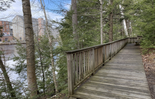 A wooden walkway surrounded by trees, leading to a calm body of water with a building in the background.
