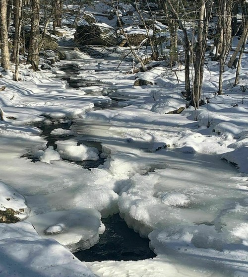 A frozen stream surrounded by snow-covered trees and rocks, with patches of ice floating on the water.
