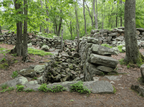 A stone structure surrounded by trees, with a rocky pathway and moss-covered ground in a forested area.