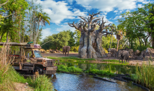A safari vehicle near a water body, with elephants and a large baobab tree in a lush, green landscape.
