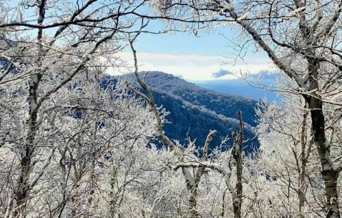 A snowy landscape framed by frosted trees, revealing distant mountains under a clear blue sky.