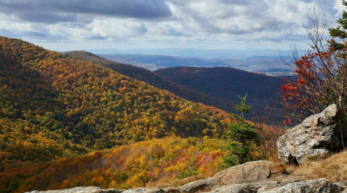 A scenic view of rolling hills covered in autumn foliage under a cloudy sky.