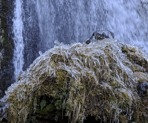 A close-up of moss and grass covered in ice, with a waterfall cascading in the background.