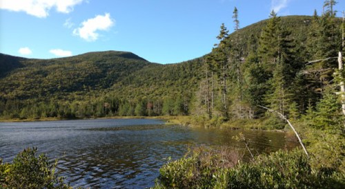 A serene lake surrounded by lush green mountains and trees under a clear blue sky.