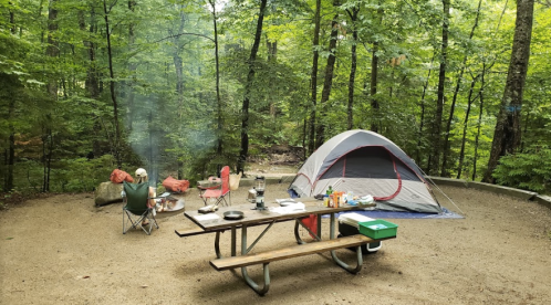 A campsite in a forest with a tent, picnic table, campfire, and chairs surrounded by trees.