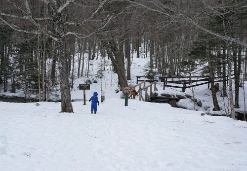 A child in a blue snowsuit walks towards a wooden bridge in a snowy forest. Trees surround the area.