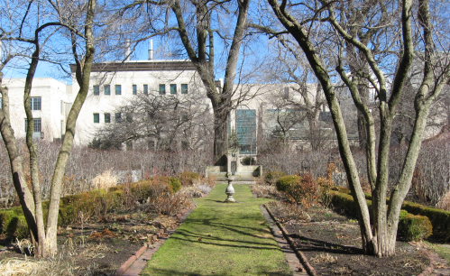 A serene garden path lined with trees, leading to a building in the background under a clear blue sky.