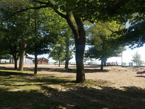 A sandy beach area shaded by trees, with a playground and beach facilities in the background under a clear sky.