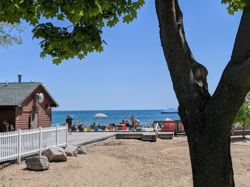 A beach scene with people enjoying the sun, umbrellas, and a clear blue sky, framed by a tree and a wooden structure.