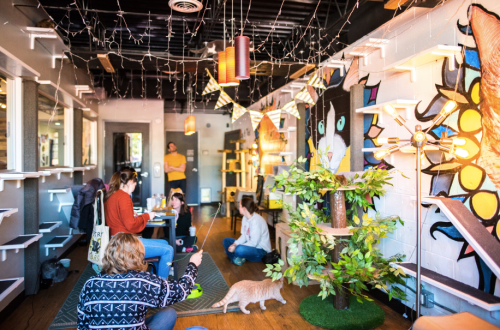 A cozy café with people enjoying their time, a cat wandering, and colorful decorations on the walls.