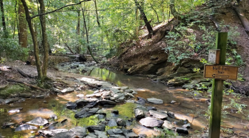 A serene forest scene featuring a rocky creek surrounded by lush greenery and a trail sign for Bluff Flats Trail.
