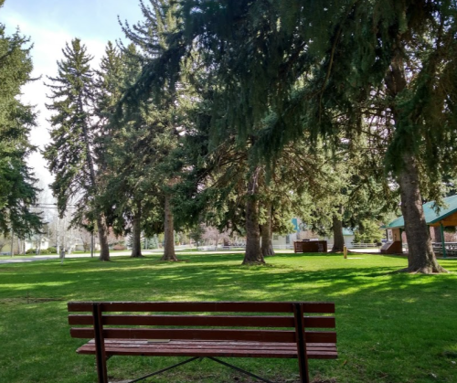 A wooden bench in a grassy park surrounded by tall trees and a small building in the background.