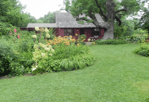 A charming red house surrounded by vibrant flowers and lush greenery under a large tree.