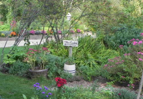 A vibrant garden with colorful flowers, greenery, and a sign that reads "Mini Garden."