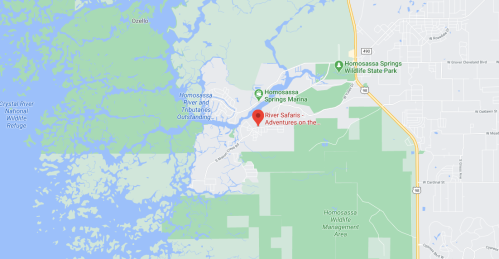 Map showing the Homosassa area, highlighting River Safaris and nearby attractions, including parks and waterways.
