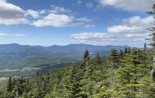 A panoramic view of lush green mountains under a blue sky with scattered clouds. Pine trees in the foreground.