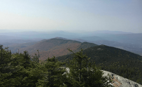 A panoramic view of misty mountains with autumn foliage and evergreen trees in the foreground.