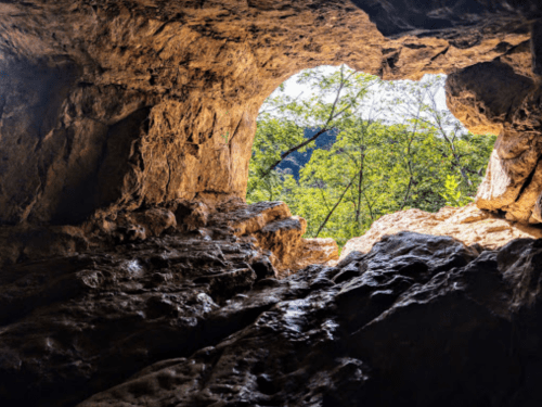 View from inside a cave, looking out at lush greenery and trees through a natural rock opening.