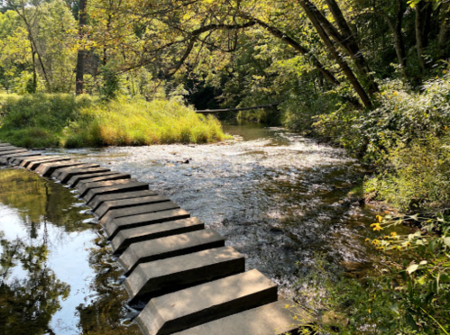 A serene stream with stepping stones, surrounded by lush greenery and sunlight filtering through the trees.