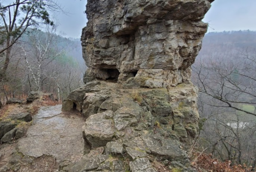 Rocky cliffside with a narrow path, surrounded by bare trees and a misty landscape in the background.
