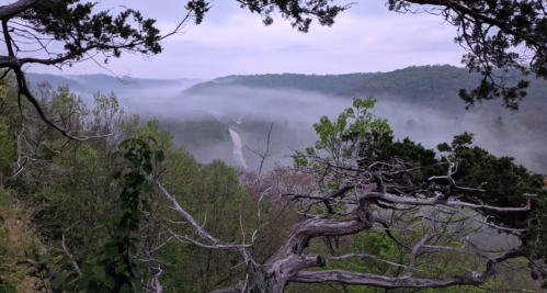 A misty landscape view of a river winding through green hills, framed by trees in the foreground.
