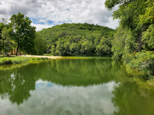 A serene green lake surrounded by lush trees and a cloudy sky, reflecting the landscape in calm waters.
