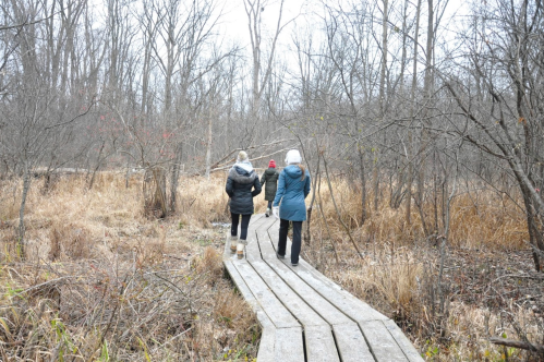 Three people walk along a wooden path through a bare, winter landscape with dry grass and trees.