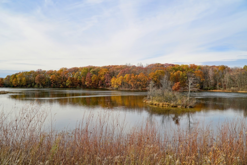 A serene lake surrounded by autumn foliage, with a small island and gentle ripples reflecting the colorful trees.