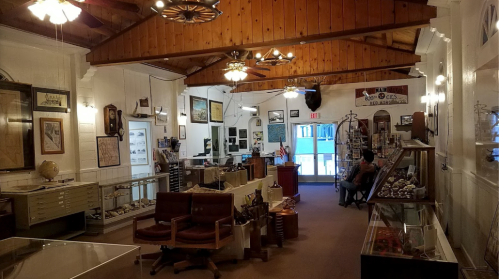 Interior of a museum featuring displays, artifacts, and a visitor sitting at a table under wooden beams and lights.