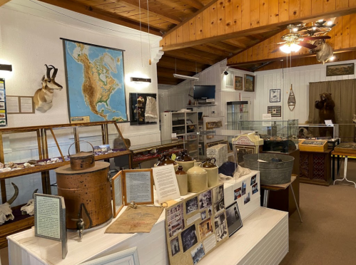 Interior of a museum displaying historical artifacts, maps, and taxidermy in a wooden, rustic setting.