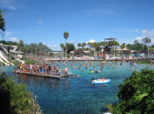 A vibrant water park scene with people swimming, slides, and palm trees under a clear blue sky.