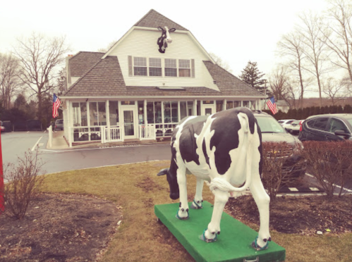 A large cow statue stands on a green base outside a white building with American flags.