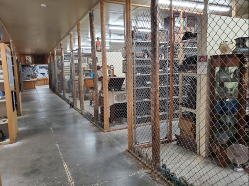 A hallway with wooden posts and chain-link fencing, showcasing various displays behind the enclosures.