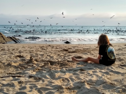 A person sits on the beach, watching birds fly over the ocean at sunset, with sand and rocks in the foreground.