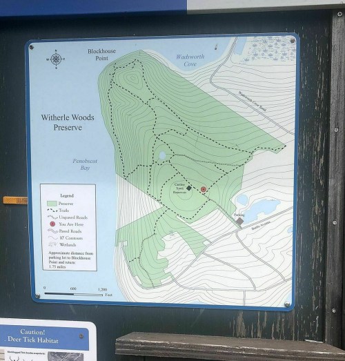 Map of Witherle Woods Preserve showing trails, roads, and natural features near Penobscot Bay.