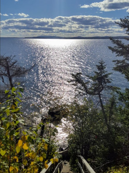 A serene view of sparkling water under a bright sky, framed by trees and a staircase leading down to the shore.