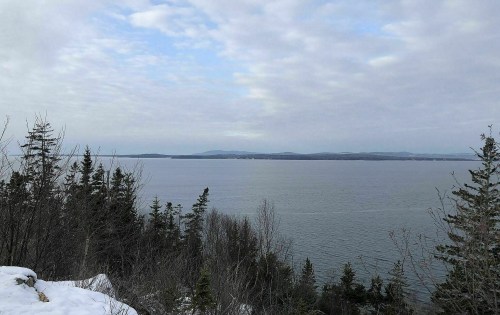 A serene view of a calm lake surrounded by trees and distant mountains under a cloudy sky. Snow is visible in the foreground.